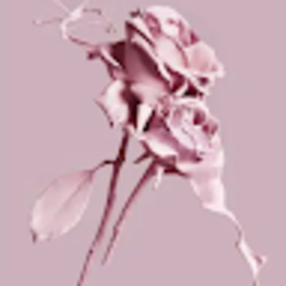 Meet your Posher, Blair - Picture 1 of 1